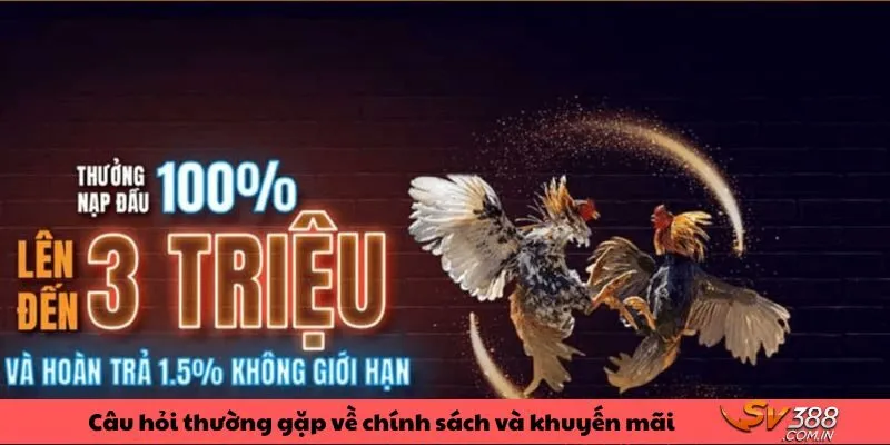 Những vấn đề gặp về chính sách và khuyến mãi