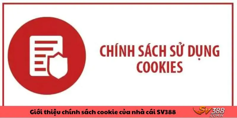 Giới thiệu chính sách cookie của nhà cái SV388